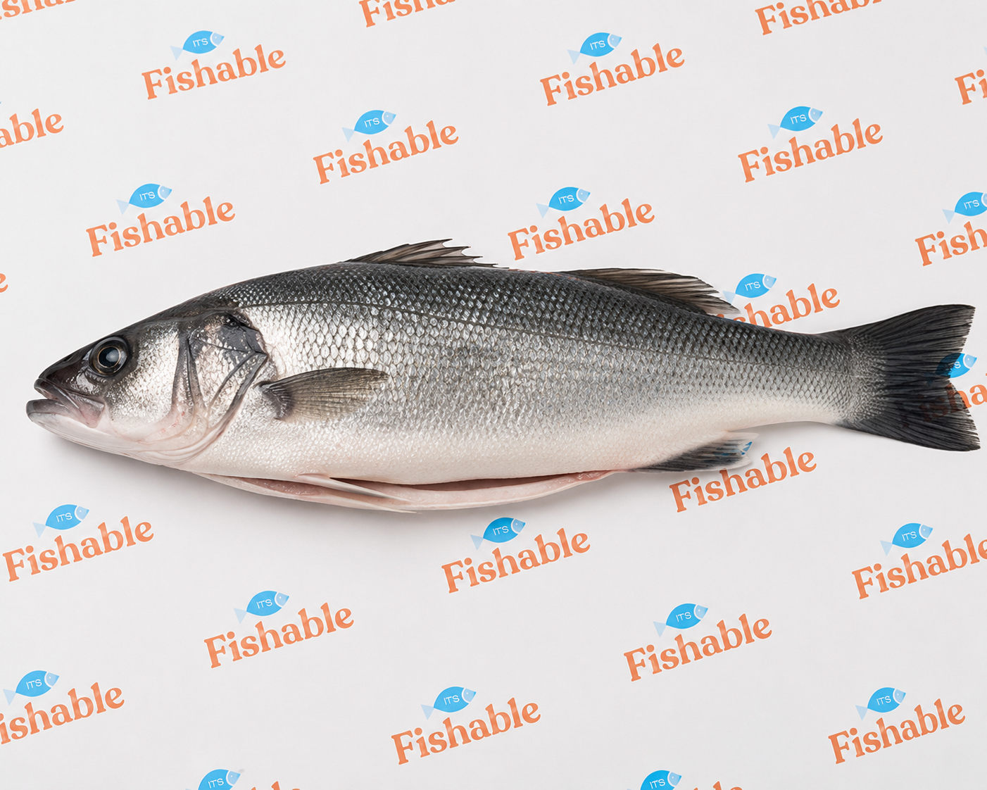 BRONZINO WHOLE